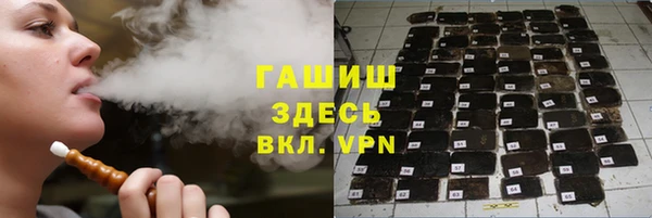 индика Белокуриха
