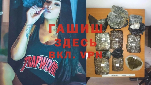индика Белокуриха