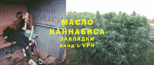 индика Белокуриха