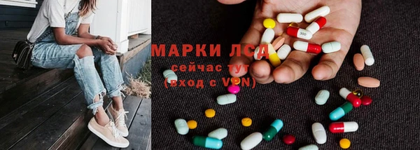индика Белокуриха