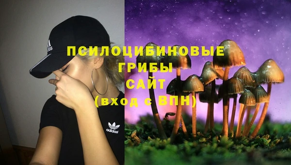 бошки Белоозёрский