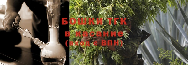 индика Белокуриха