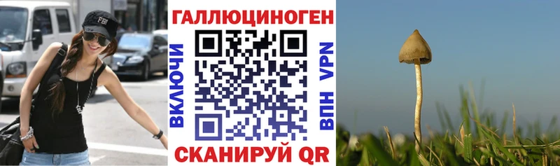 kraken ССЫЛКА  даркнет сайт  Волхов  Псилоцибиновые грибы прущие грибы 